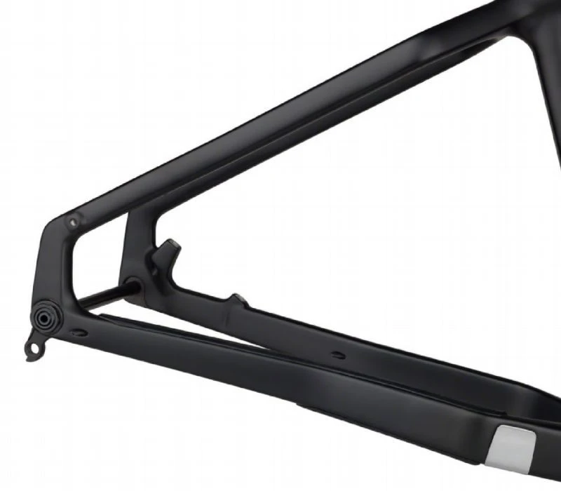single speed fat bike frame (1) -